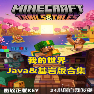 我的世界正版账号Java版+基岩版  ：不是激活码不一定能玩hypixe