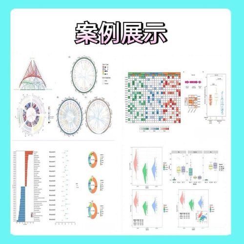 生信分析  单细胞测序服务  2-9分定制 TCGA/GEO/KEGG数据库挖掘