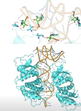 网路药理学分子对接网路药理学教程自学入门零基础课程G107