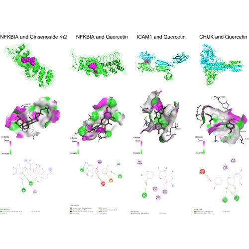 小分子药物与大分子蛋白分子对接,对接结果3D及2D图制作,以及最
