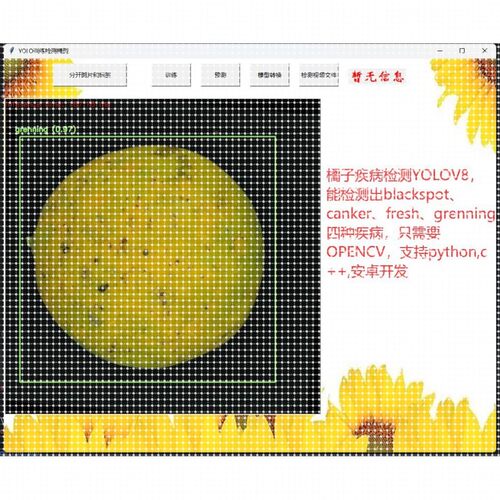 python代编程帮做opencv图像识别目标检测yolo语义分割接深度学习