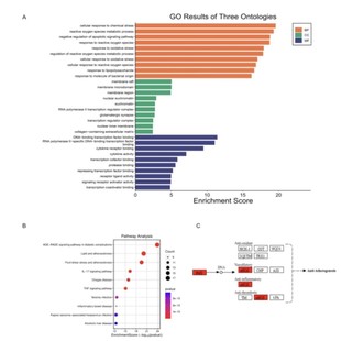 核磁氢谱碳谱DEPT二维谱图处理归属解析