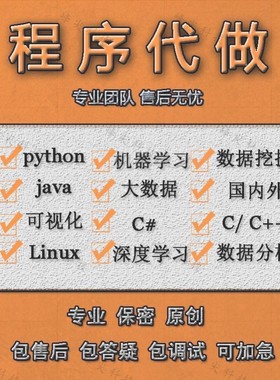 Python代编程java计算机程序设计c代码编写qt开发c#系统定制代做