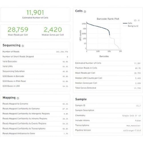 单细胞fastq、bam文件通过cellranger 转换成矩阵文件 导入R分析