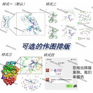 分子对接/分子动力学模拟/虚拟筛选/网路药理学/批量对接
