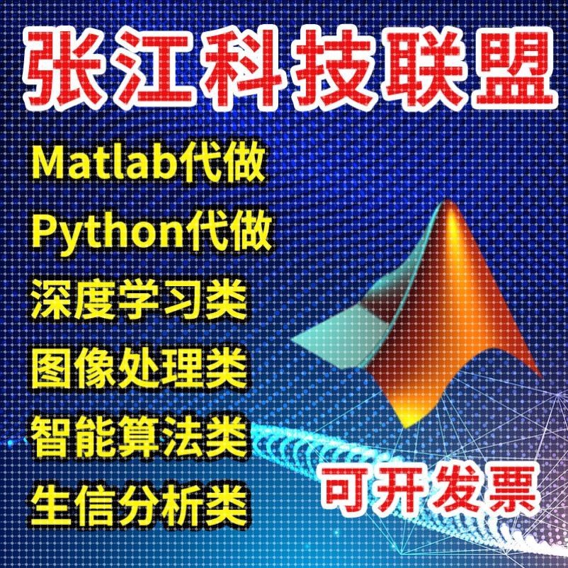 matlab代编程序代做帮做python代码编写深度学习复现代码算法仿真