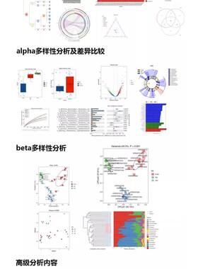 扩增子16s/18S/ITS宏基因组测序数据分析微生物多样性测序基因组