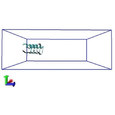 蛋白蛋白分子对接DS分析MD分子动力学分析PDB构建