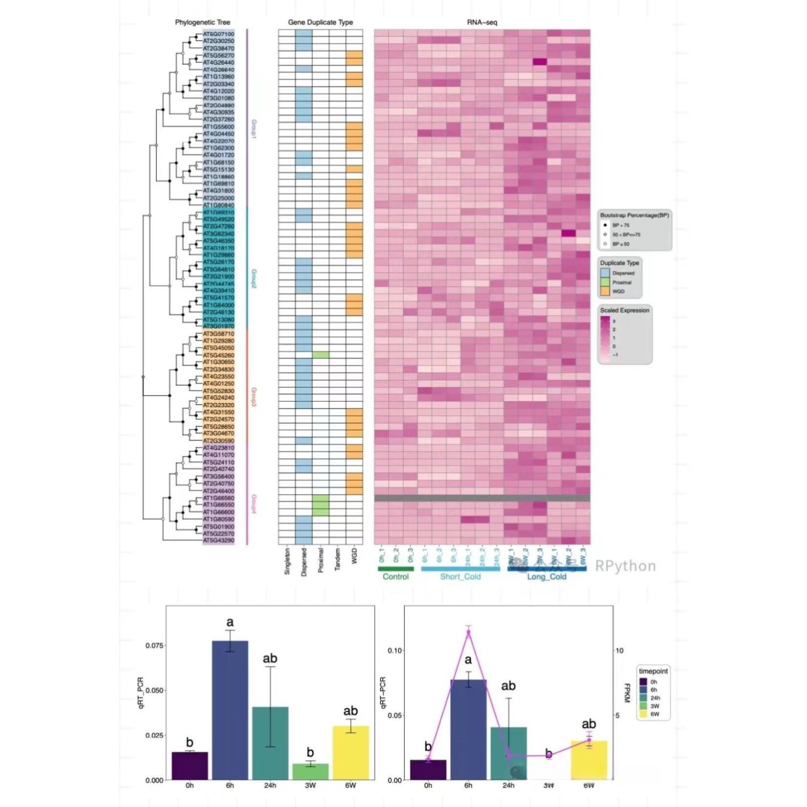 孟德尔随机化框架整理2区5+ MR单细胞转录组TCGA/GEO数据挖掘