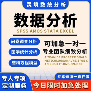 spss数据分析python编程meta医学r语言amos调查问卷stata实证帮做
