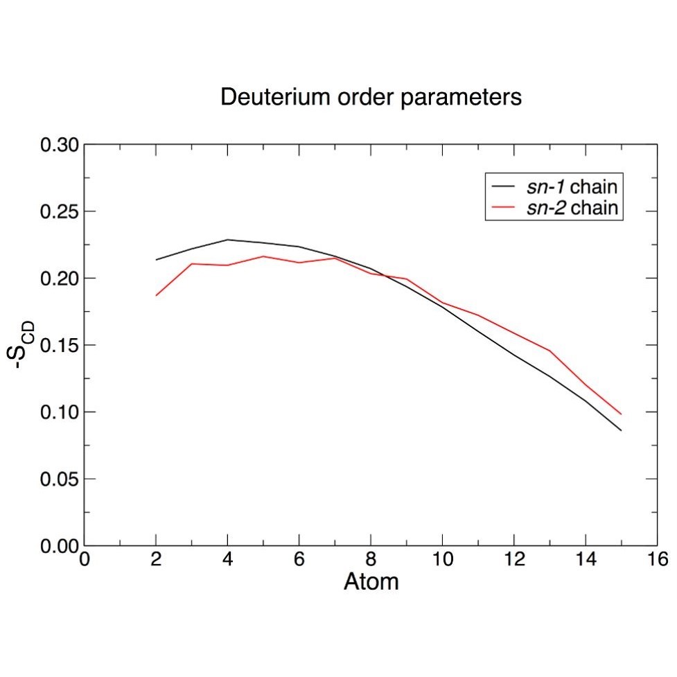 膜蛋白的分子动力学模拟蛋白模型构建分子对接基因家族
