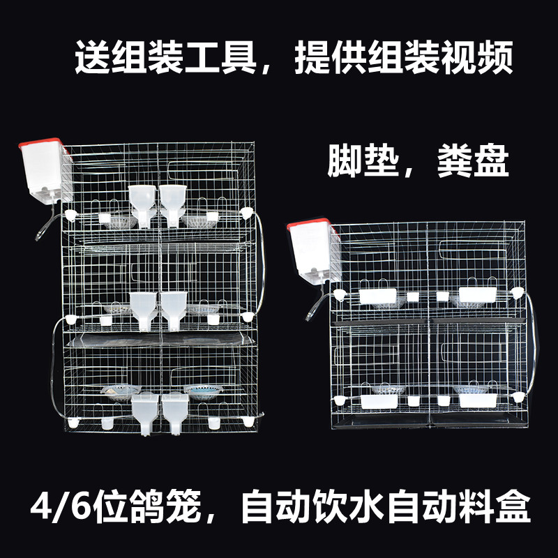 鸽子笼家用大号繁殖鸽笼元宝鸽笼