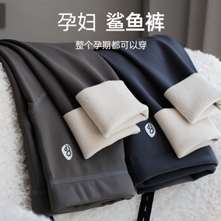 秋冬款 加绒鲨鱼裤 外穿托腹裤 孕期不勒肚子冬季 2025新款 孕妇打底裤