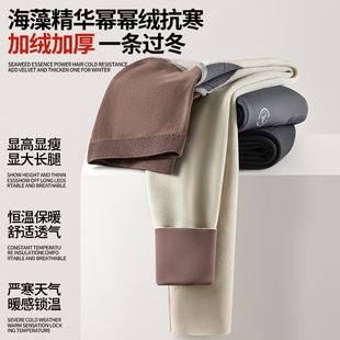 秋冬加绒加厚外穿鲨鱼裤 托腹打底裤 瑜伽运动裤 冬季 子 孕妇装 孕妇裤