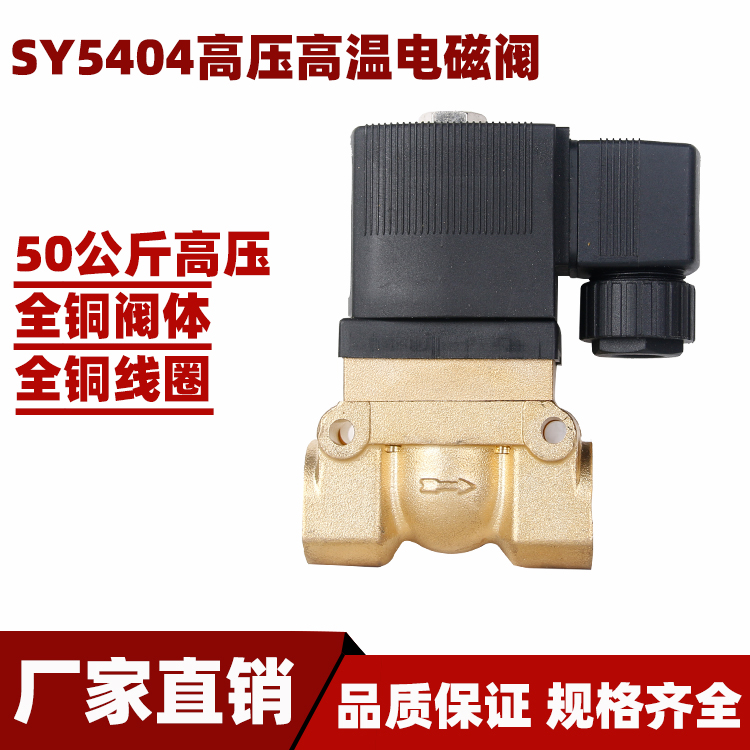 SY5404-02  5MPA 2分高压电磁阀 4分 5404-04 50KG 气阀 220V 24V
