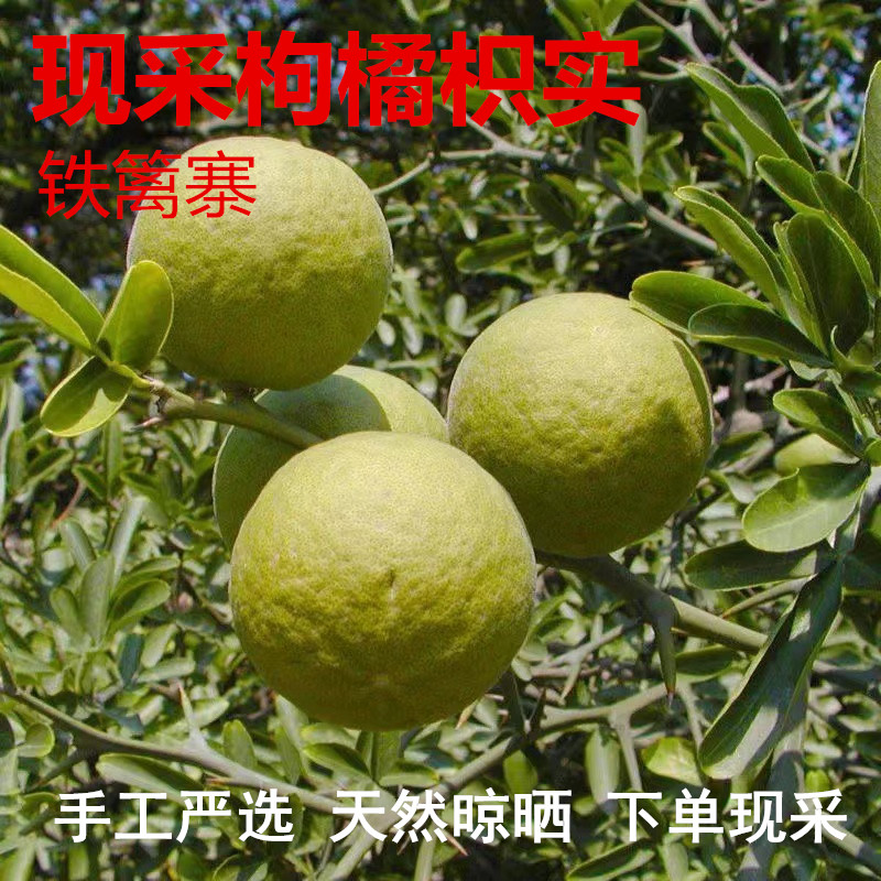 枳实鲜果现摘铁篱寨果现摘可入药中草药500g包邮