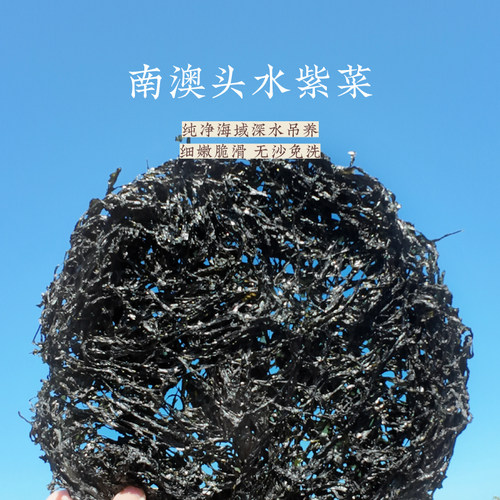 晶华鱼丸南澳头水紫菜饼海鲜干货