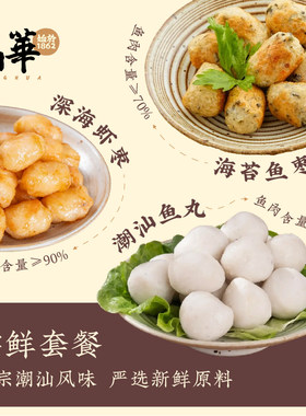 晶华鱼丸潮汕海鲜肉丸子组合
