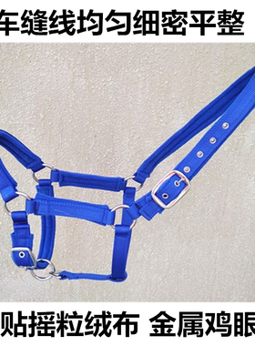 马具织带马笼头 红色牵马龙头 蓝色马头套