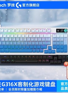 罗技G 闪逸龙G316X客制化有线游戏键盘98配列电竞联名