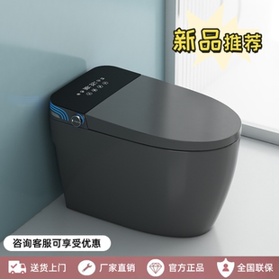 彩色智能马桶家用虹吸式 全自动语音一体即热型座坐便器无水压限制