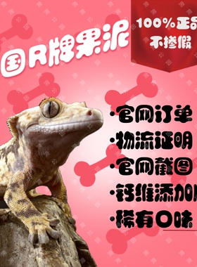 美国R牌分装果泥豹纹中浓度钙维生素睫角守宫R属巨人盖盘古魔物