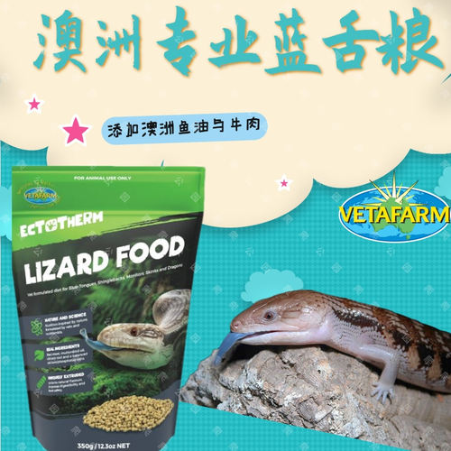 澳洲vetafarm蓝舌蜥蜴爬宠爬虫