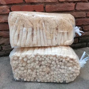 竹荪干货500g竹笙无熏硫农家非野生新鲜长裙菌菇特产天然火锅食材