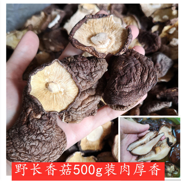 野长古田香菇500g大朵肉厚香味浓冬菇特级蘑菇花菇土特产煲汤食材