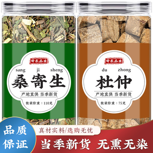 桑寄生杜仲中药材组合茶包桑奇生和杜仲茶加独活泡茶泡水喝腰痛