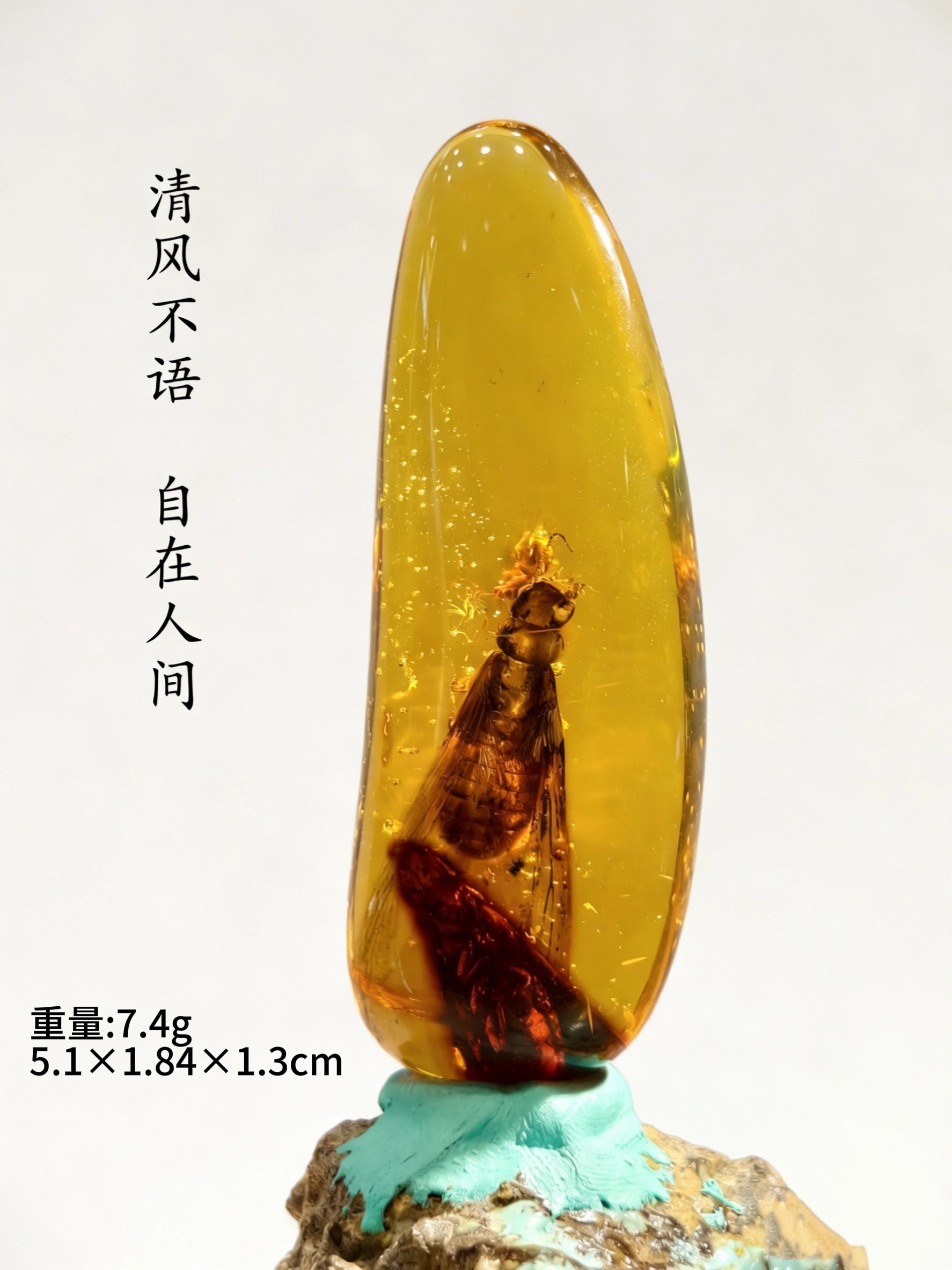 天然多米尼加虫珀吊坠