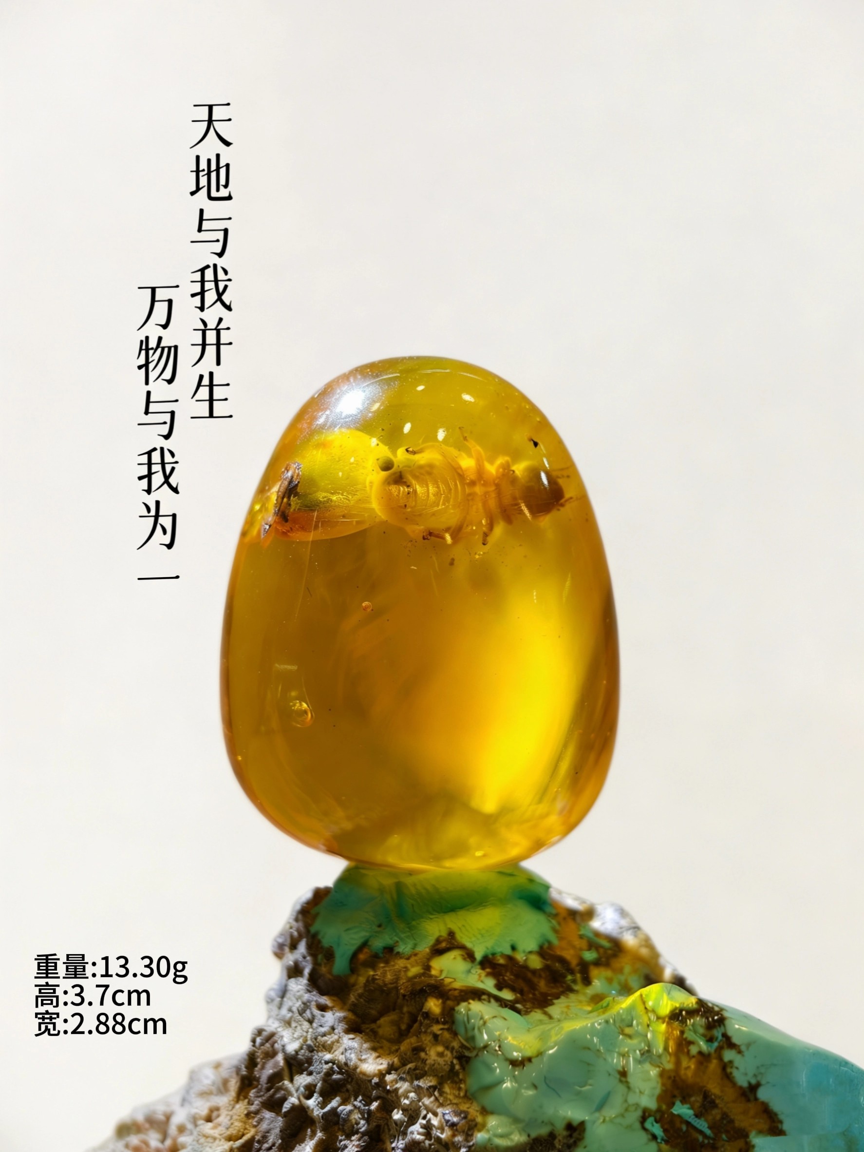 多米尼加天然虫珀吊坠