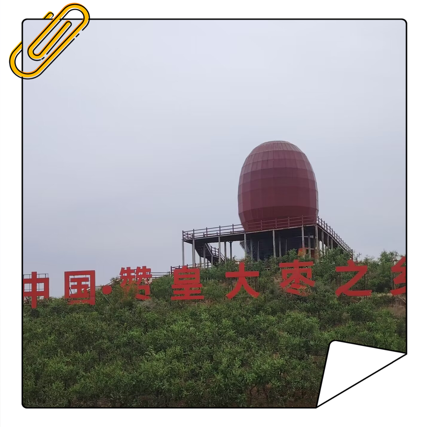 赞皇大枣之乡个大肉厚1500克