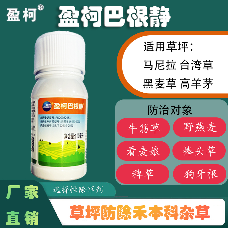 盈柯巴根静马尼拉草坪除狗牙根