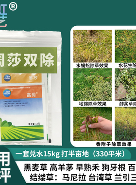 阔莎双除除草剂马尼拉百慕大黑麦草高羊茅除香附子水花生地锦杂草