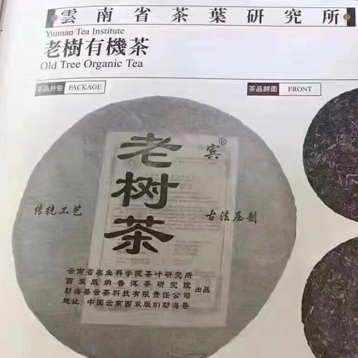 茶科所普洱茶饼老树。云茶饼公司云南勐海农业茶叶研究所古树生茶
