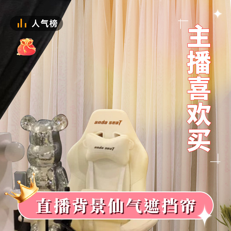 直播间背景窗帘布魔术贴免打孔网红女主播跳舞高级感专用装饰纱帘