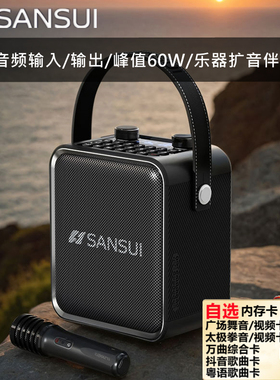 山水2025新款T92K歌广场音响蓝牙户外音箱乐器小尺寸大音量低音炮