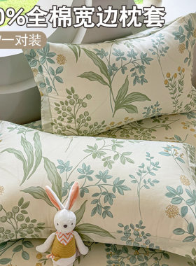 小清新全棉枕套一对装家用