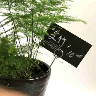 4婚庆餐饮不锈钢标签牌杆子标价签夹子标牌长杆子pop广告牌杆子夹