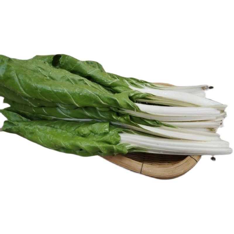 牛皮菜云南新鲜厚皮菜甜菜猪婆菜现摘发货包邮,水产肉类/新鲜蔬果/熟食,叶菜类,淘宝优惠券,粉丝福利购,淘宝优惠卷