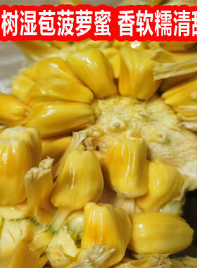 广西湿苞菠萝蜜新鲜现摘菠萝蜜湿包软糯热带水果应季木菠萝6-18斤