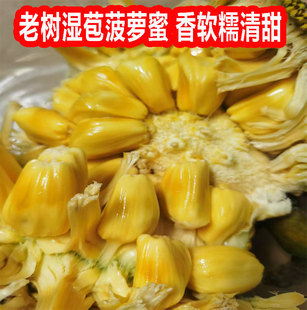 广西湿苞菠萝蜜新鲜现摘菠萝蜜湿包软糯热带水果应季木菠萝6-18斤