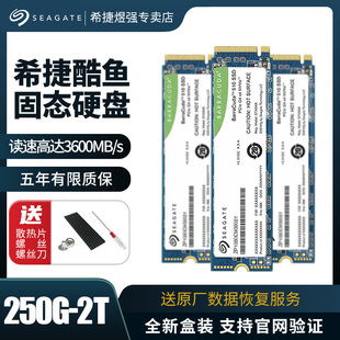 机250g固态盘m.2协议nvme 希捷酷鱼510固态硬盘500g笔记本ssd台式