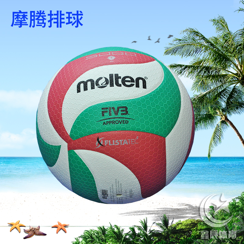Ballon de volley-ball - Ref 2010984 Image 1