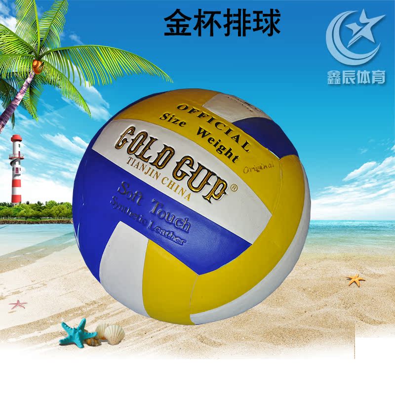 Ballon de volley - Ref 2011674 Image 3