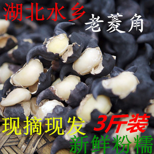 新鲜菱角3斤5斤装 湖北特产老菱角二角青皮黑壳菱角个大粉糯现发