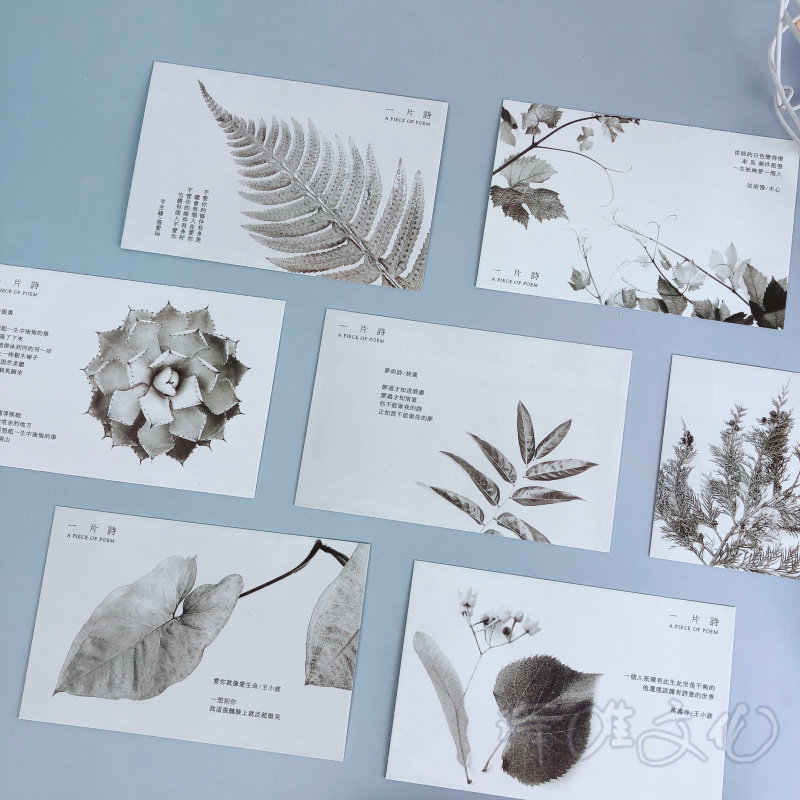 一片诗 爱情诗词经典名人句子摘抄明信片 30张黑白树叶表白贺卡片