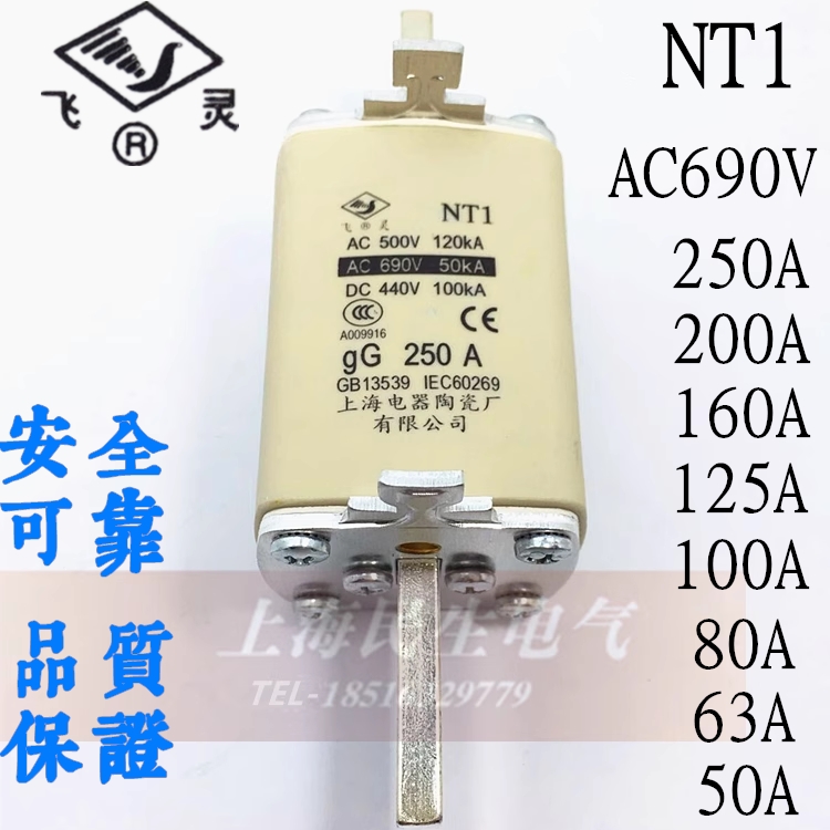 飞灵有限公司保险丝NT1熔断器AC690VDC440V芯子gG125A160A200A250