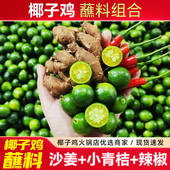 椰子鸡火锅蘸料海南沙姜小青桔白切鸡配料小金桔厨房调味文昌鸡